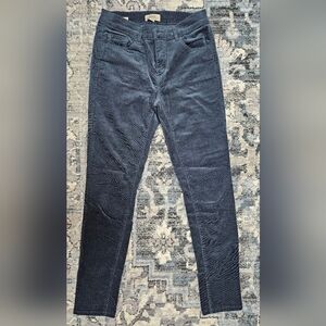 NEW Women's LOFT Velvet Pants- size 0